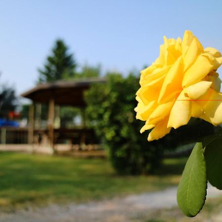 Agriturismo Ai Vigneti Ponti sul Mincio Eksteriør bilde