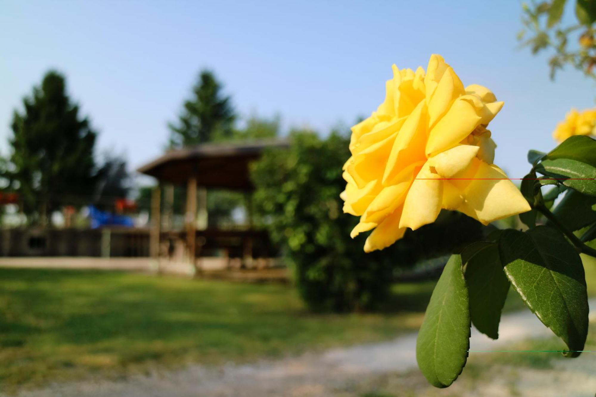 Agriturismo Ai Vigneti Ponti sul Mincio Eksteriør bilde